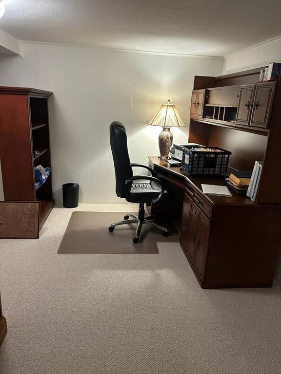 56 Granby Hts Unit 56, Granby, MA 01033 - home office with carpet floors and ornamental molding