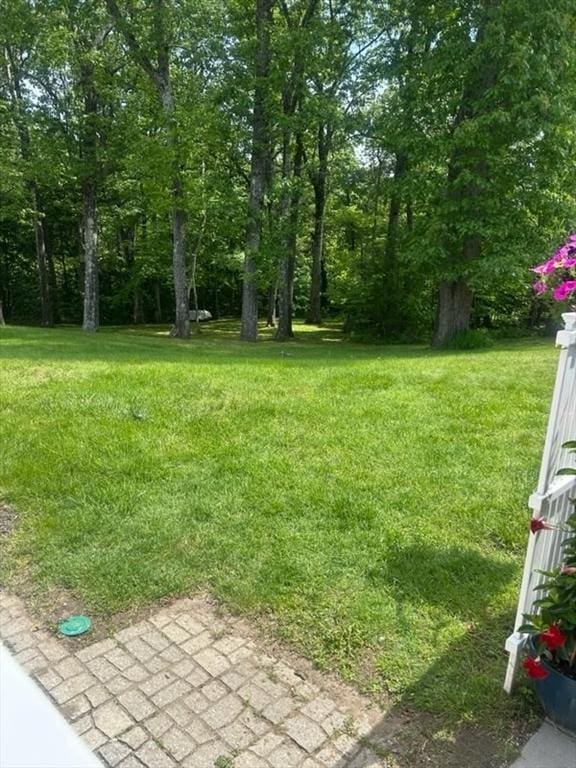 56 Granby Hts Unit 56, Granby, MA 01033 - view of grassy yard
