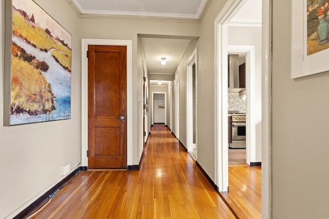 3 Arlington St Unit 31, Cambridge, MA 02140 - corridor with wood-type flooring, attic access, ornamental molding, and baseboards