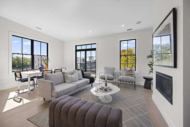 living room with wood-type flooring