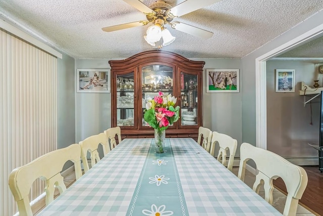 163 Lockland Ave, Framingham, MA 01701 - dining space featuring a textured ceiling, a baseboard radiator, and ceiling fan