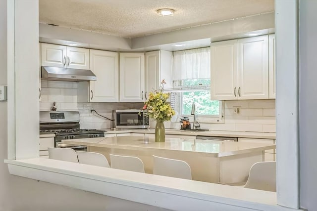 163 Lockland Ave, Framingham, MA 01701 - kitchen with under cabinet range hood, stainless steel appliances, a textured ceiling, white cabinetry, and decorative backsplash