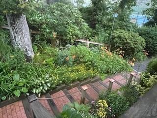 view of yard with a vegetable garden