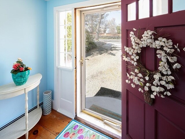 entryway featuring wood finished floors