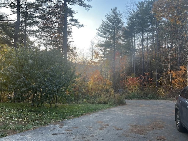 view of street with a view of trees