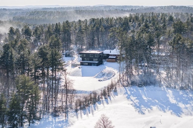 snowy aerial view featuring a view of trees