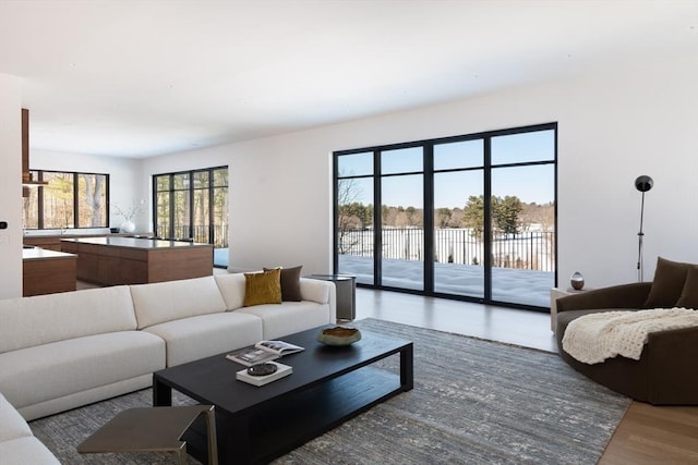 living area featuring wood finished floors