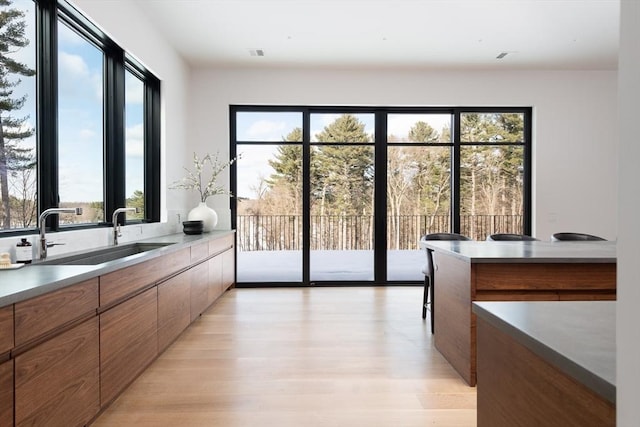 kitchen with modern cabinets, brown cabinets, light countertops, light wood-style floors, and a sink