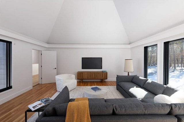 living area with high vaulted ceiling, baseboards, and wood finished floors