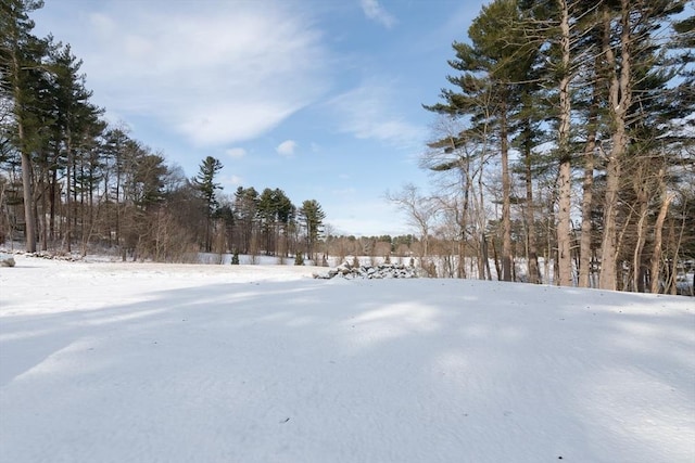 view of yard layered in snow