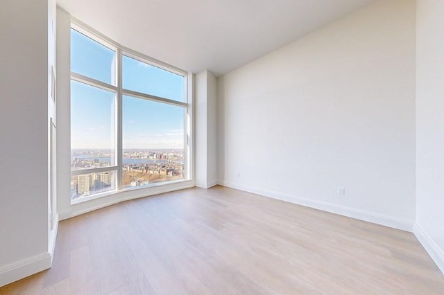 unfurnished room with light hardwood / wood-style flooring