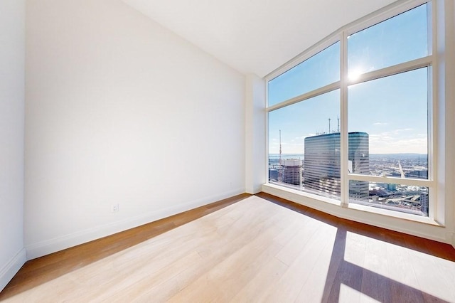 spare room featuring hardwood / wood-style flooring and expansive windows