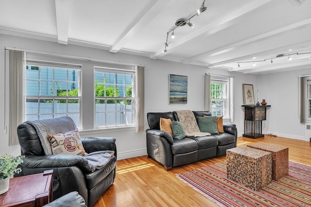 living room with track lighting, beam ceiling, light wood-style floors, and baseboards