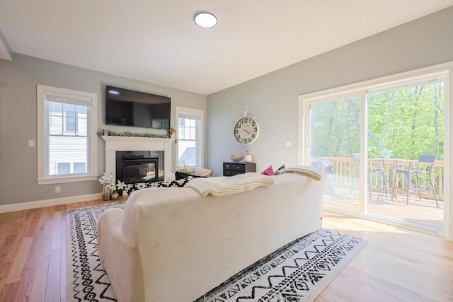19 Millies Way, Sterling, MA 01564 - living room with light wood finished floors, a glass covered fireplace, and baseboards