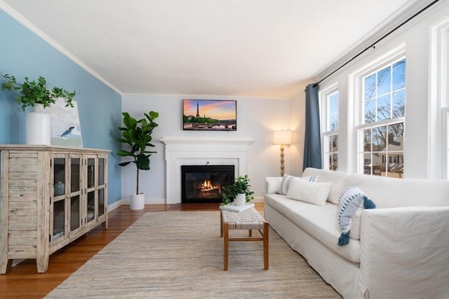 living area featuring a glass covered fireplace, wood finished floors, baseboards, and ornamental molding