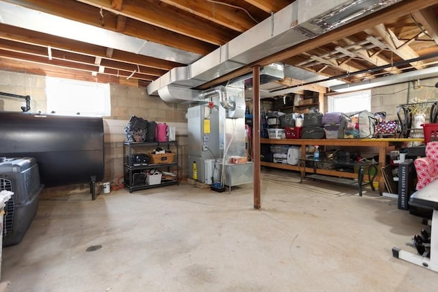 basement with heating unit, a healthy amount of sunlight, and heating fuel