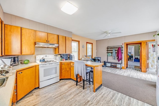514 W Britannia St, Taunton, MA 02780 - kitchen featuring electric range, under cabinet range hood, stainless steel microwave, light wood-type flooring, and light countertops