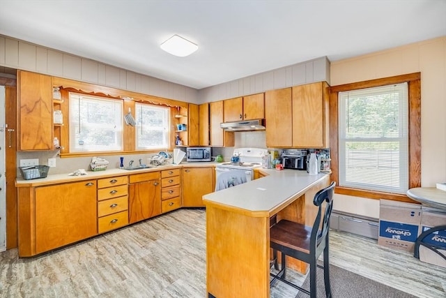 514 W Britannia St, Taunton, MA 02780 - kitchen featuring white range with electric cooktop, under cabinet range hood, stainless steel microwave, open shelves, and a peninsula