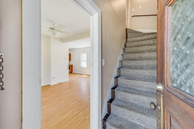 514 W Britannia St, Taunton, MA 02780 - stairs with wood finished floors and ceiling fan