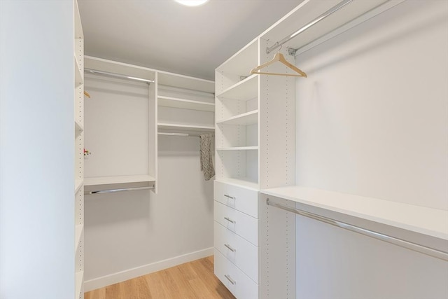 walk in closet featuring light wood-type flooring