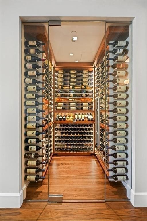 wine room with electric panel, baseboards, and wood finished floors