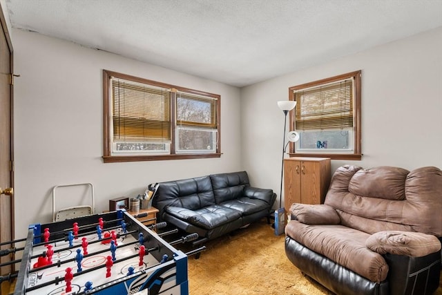 living room featuring light carpet