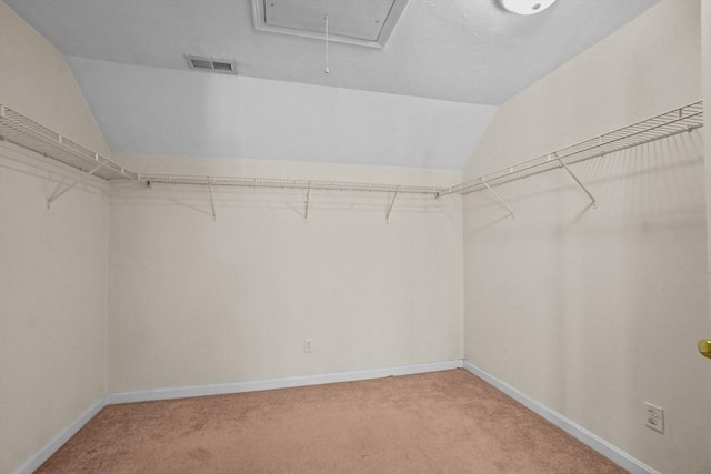 spacious closet featuring vaulted ceiling, carpet floors, and attic access