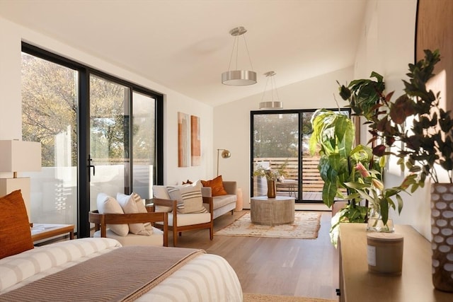 bedroom with access to outside, multiple windows, lofted ceiling, and hardwood / wood-style flooring