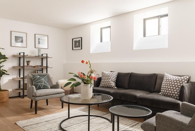 living room with light wood-type flooring