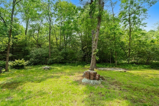 379 Dedham Ave, Needham, MA 02492 - view of grassy yard featuring a wooded view