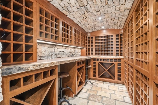 view of wine cellar