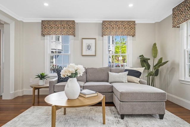 living room featuring hardwood / wood-style flooring and crown molding