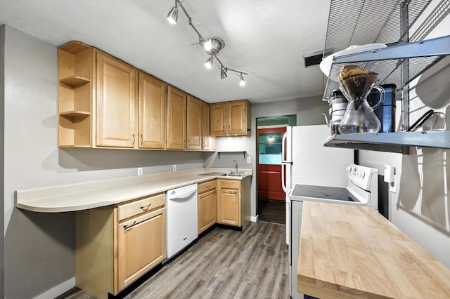 149 N Main St, South Hadley, MA 01075 - kitchen featuring white appliances, open shelves, wood finished floors, and light countertops