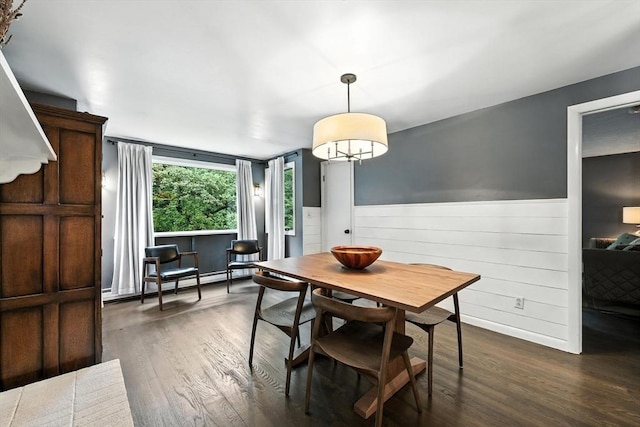 149 N Main St, South Hadley, MA 01075 - dining area featuring a baseboard radiator, dark wood-style floors, and a wainscoted wall