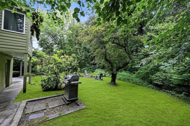 149 N Main St, South Hadley, MA 01075 - view of green lawn