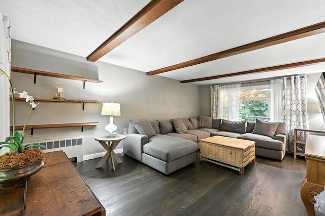 149 N Main St, South Hadley, MA 01075 - living area featuring beam ceiling, dark wood-style floors, and radiator heating unit