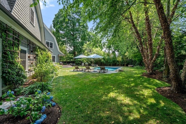 view of yard with an outdoor pool