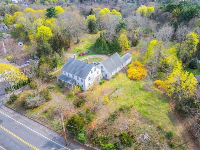 bird's eye view