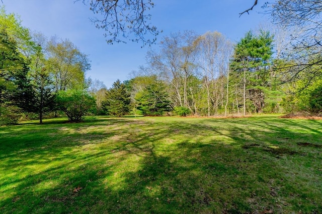 view of yard featuring a wooded view