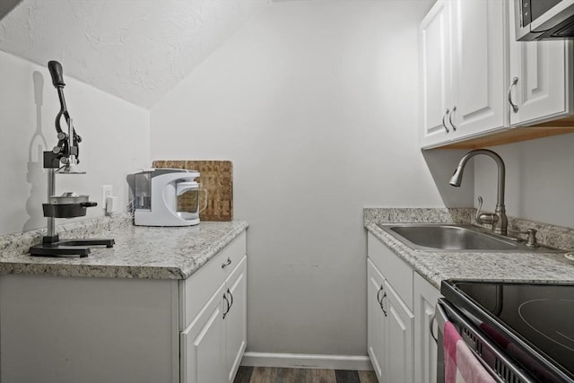 516 High St Unit 516, Clinton, MA 01510 - laundry area with a sink, dark wood-style flooring, and baseboards