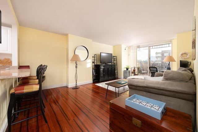 living room featuring dark hardwood / wood-style flooring