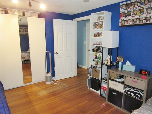 bedroom featuring wood-type flooring