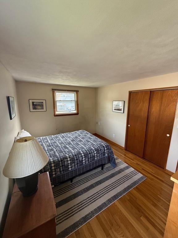 4 Fernandez Cir, Randolph, MA 02368 - bedroom with wood finished floors and a closet