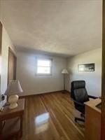 4 Fernandez Cir, Randolph, MA 02368 - unfurnished office with wood finished floors