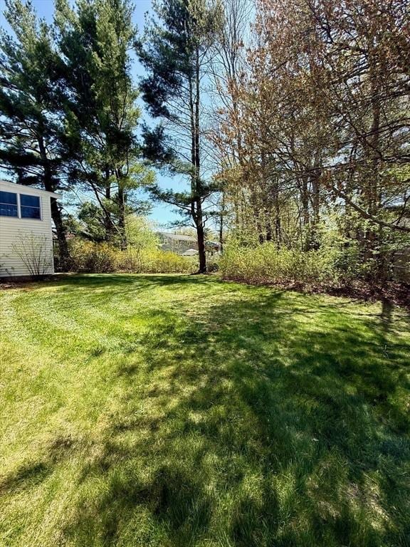 4 Fernandez Cir, Randolph, MA 02368 - view of grassy yard