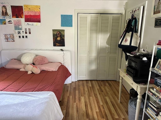 26 Burnap Rd Unit 6, Holliston, MA 01746 - bedroom with wood finished floors and a closet