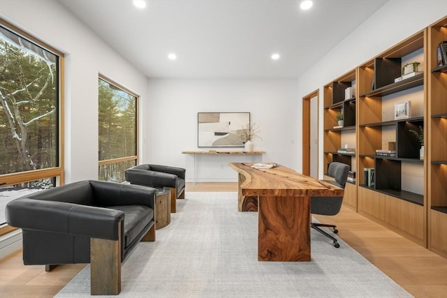 office featuring light hardwood / wood-style floors