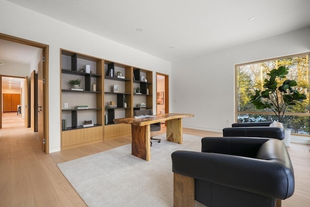 home office featuring light hardwood / wood-style floors