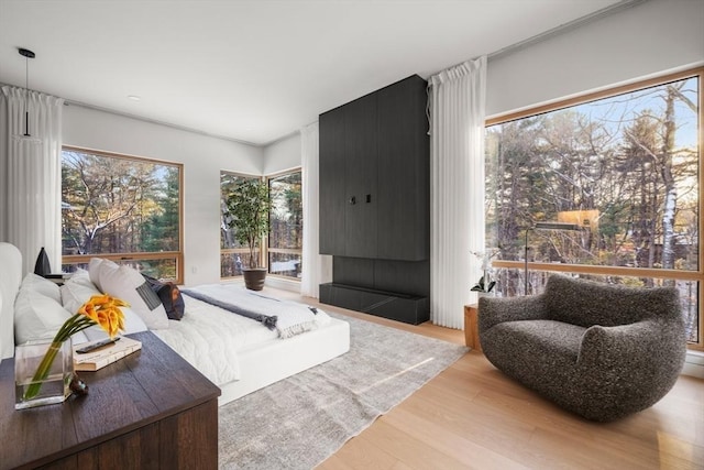 bedroom featuring light hardwood / wood-style flooring