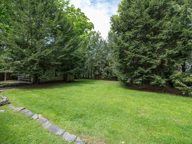 view of grassy yard